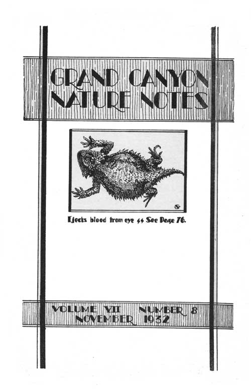 issue cover