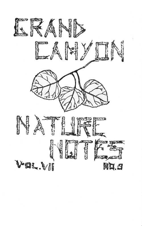 issue cover