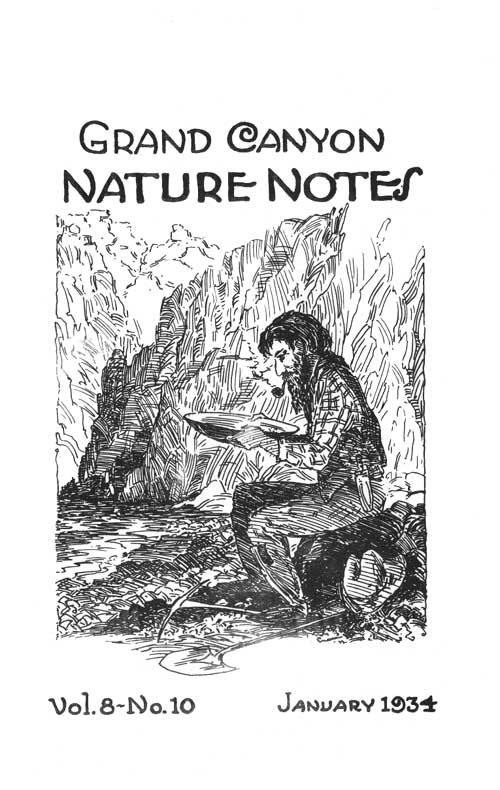 issue cover