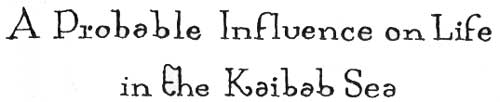 A Probable Influence on Life in the Kaibab
Sea