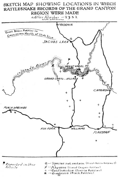sketch map showing locations in which
rattlesnake records of the Grand Canyon region were made