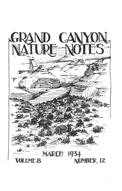 issue cover