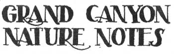 GRAND CANYON NATURE NOTES