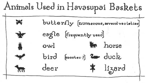 Animals Used in Havasupai Baskets