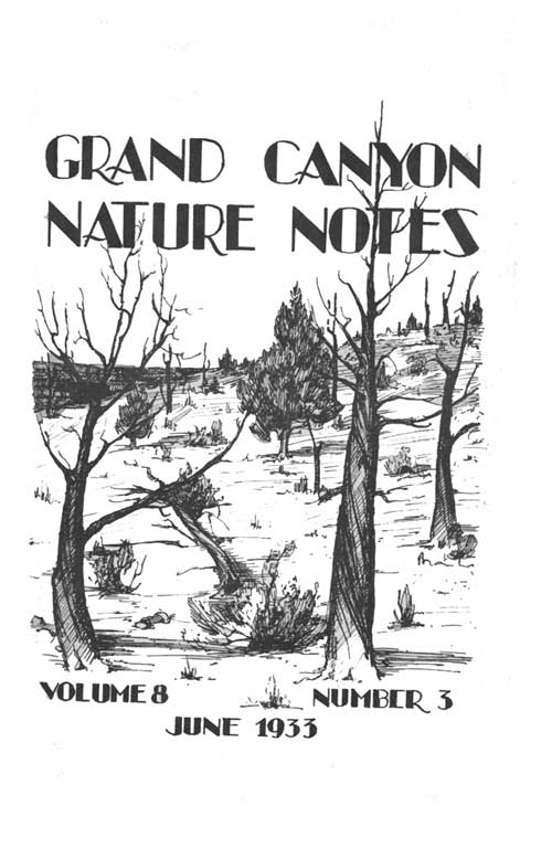 issue cover