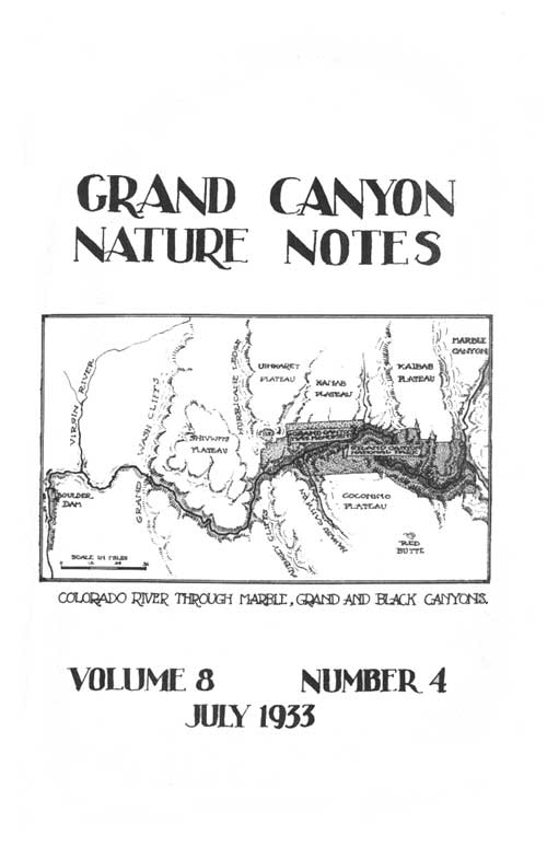 issue cover