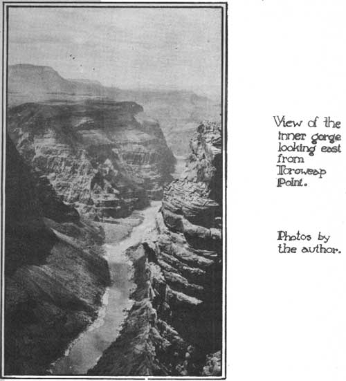 View of the inner gorge looking east from Toroweap Point. Photos by the
author.