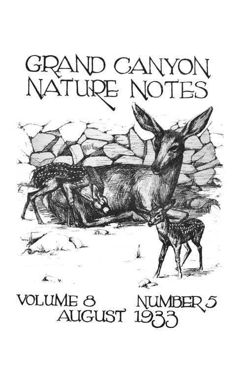 cover to Notes