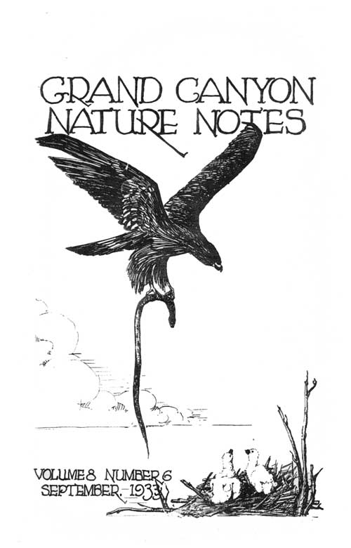 issue cover