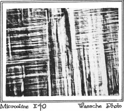Microcline X40 Waesche Photo