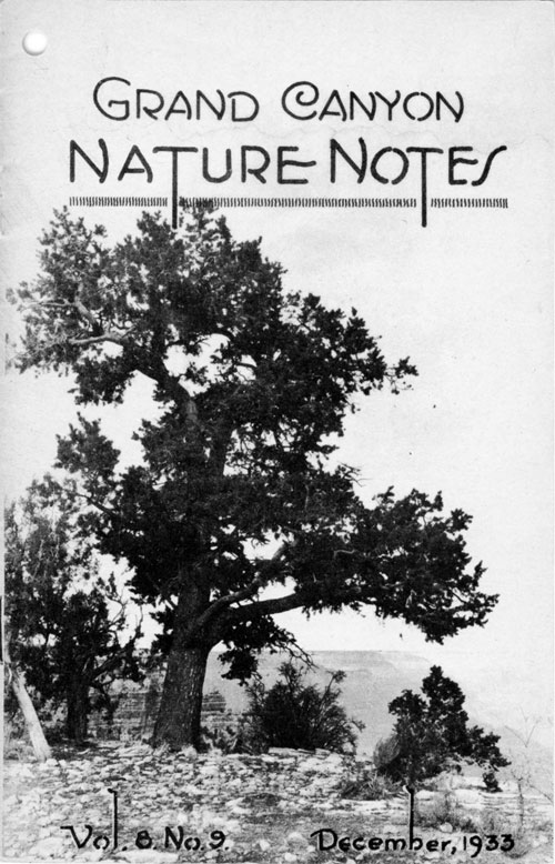 issue cover