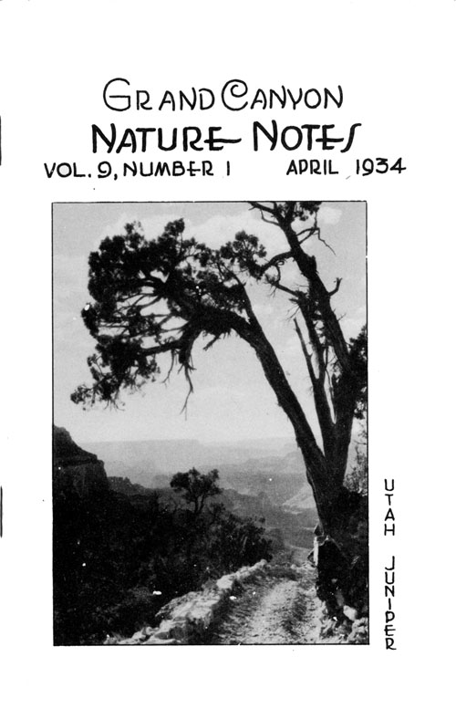 issue cover
