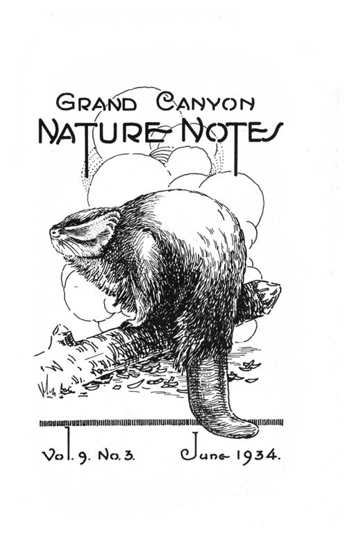 issue cover