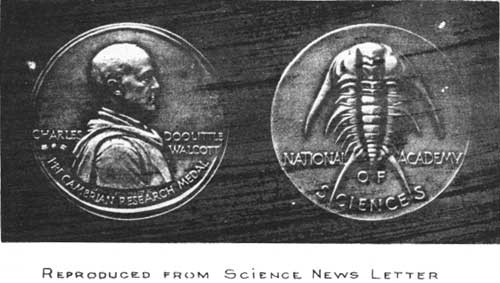 REPRODUCED FROM SCIENCE NEWS LETTER