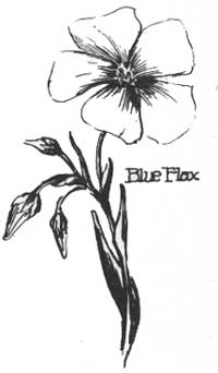 Blue flax