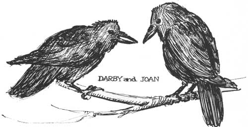 Darby and Joan