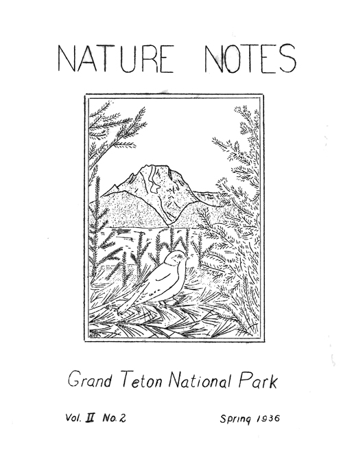 issue cover