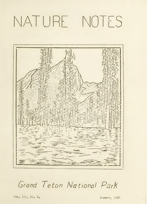 issue cover