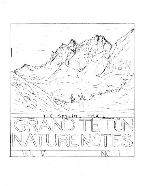 issue cover