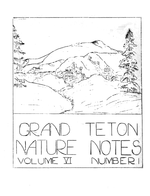 issue cover