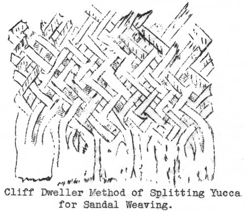 Cliff Dweller Method of Splitting Yucca for Sandal Weaving