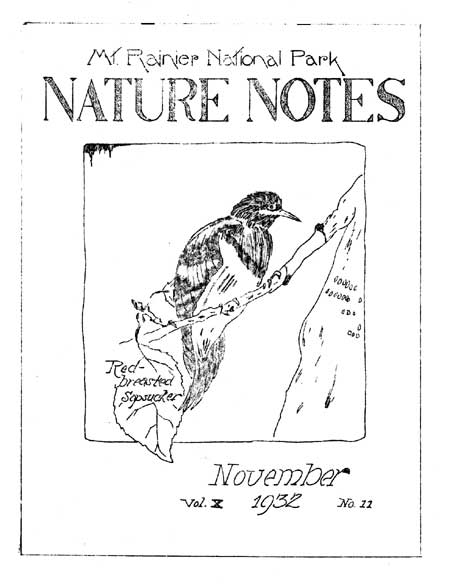 issue cover