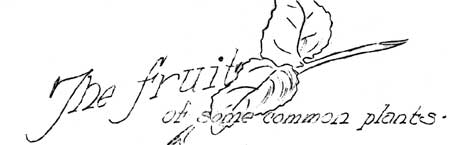The Fruit of Some Common Plants