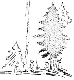 camp