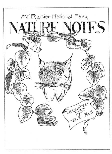 issue cover