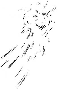 Old Man Winter