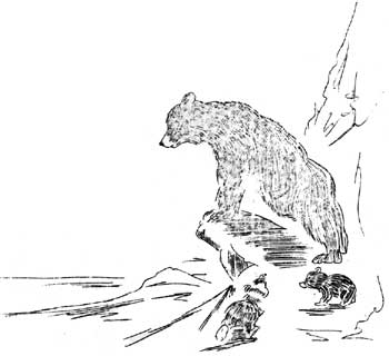 sketch of mother bear and two cubs