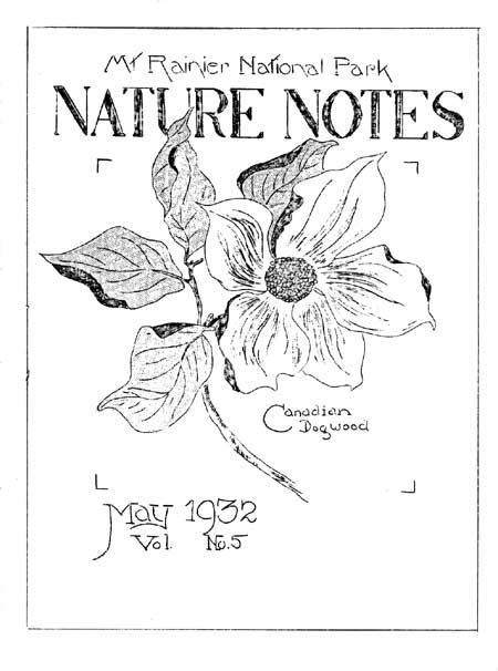 issue cover
