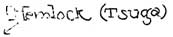 Hemlock