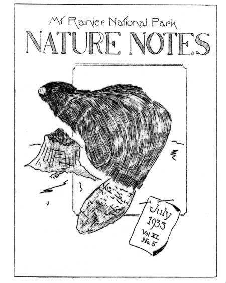 issue cover