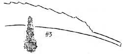 pupa