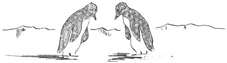 penguins