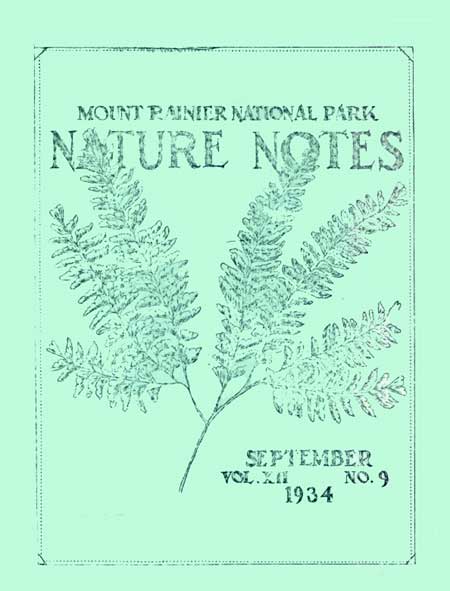 issue cover