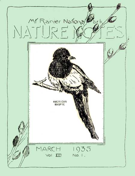 issue cover