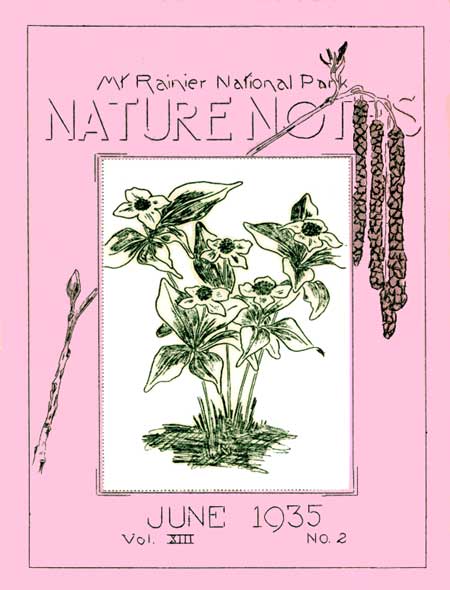 issue cover