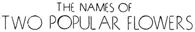 The Names of Two Popular Flowers