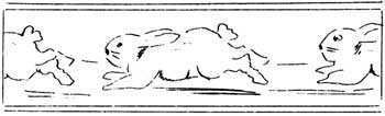 rabbits