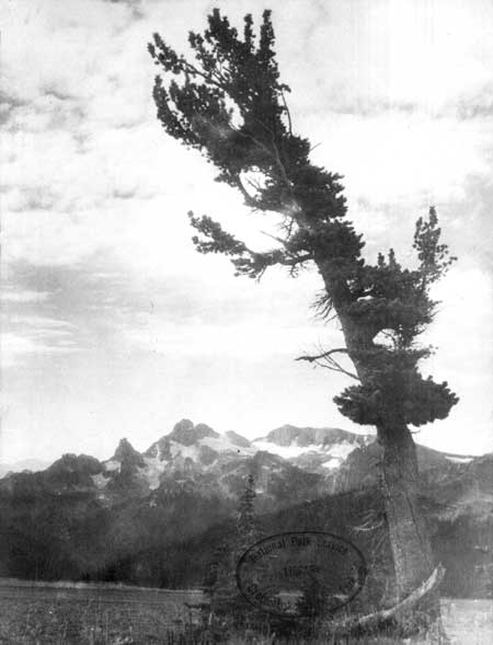 issue cover