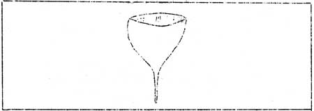 gymnostomous capsule