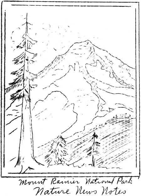 issue cover