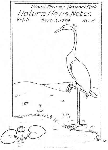issue cover