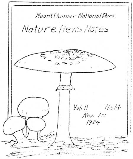 issue cover
