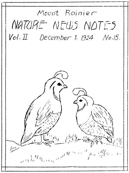 issue cover