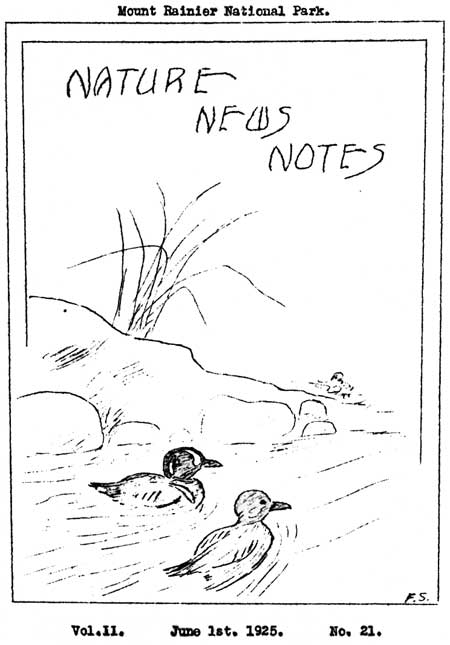 issue cover