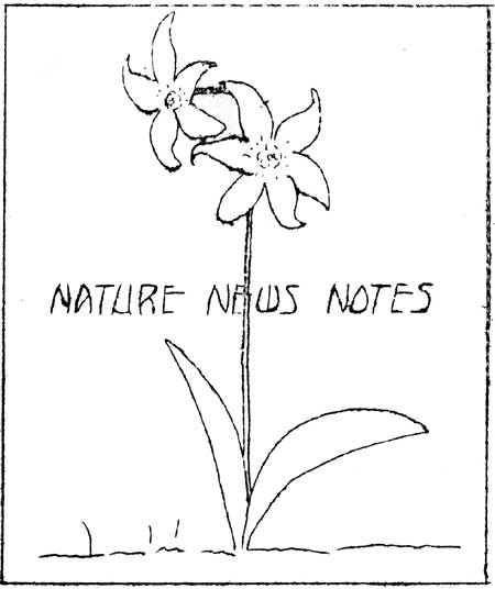 issue cover