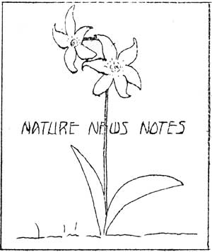 cover to Nature Notes